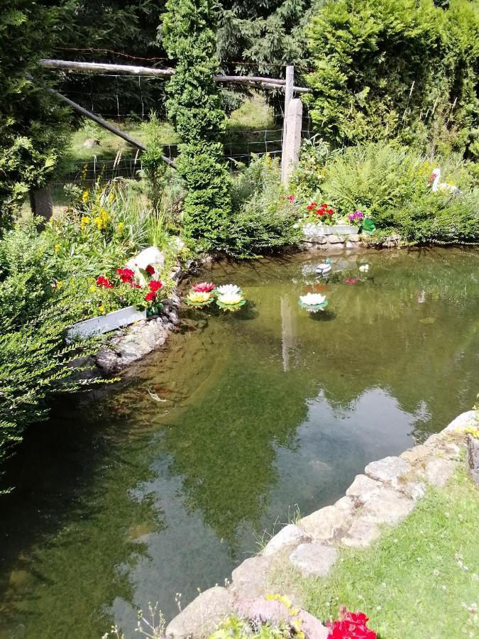 Świeradów-Zdrój佩斯亚旅馆住宿加早餐旅馆 外观 照片